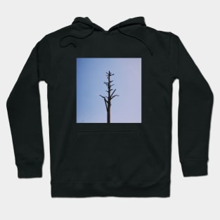 born to wait for LOVE and DIE Hoodie